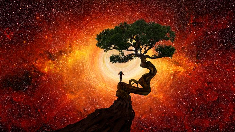 Ein Mensch auf einem Baum schaut in den Kosmos